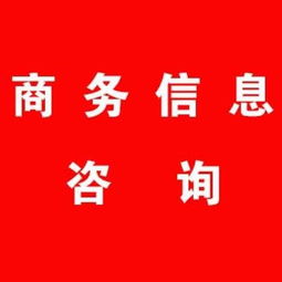 商務信息咨詢 企業的導航儀與智囊團